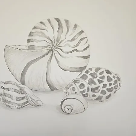 Apartman Le Conchiglie